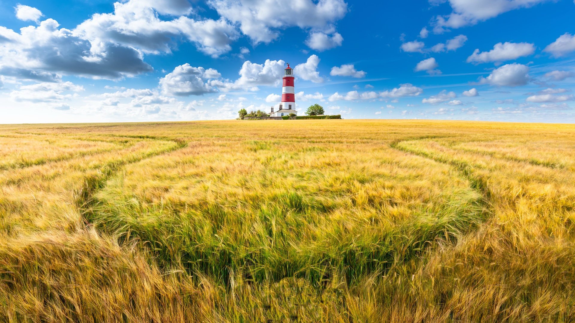 秋意正浓 麦田 灯塔 天空