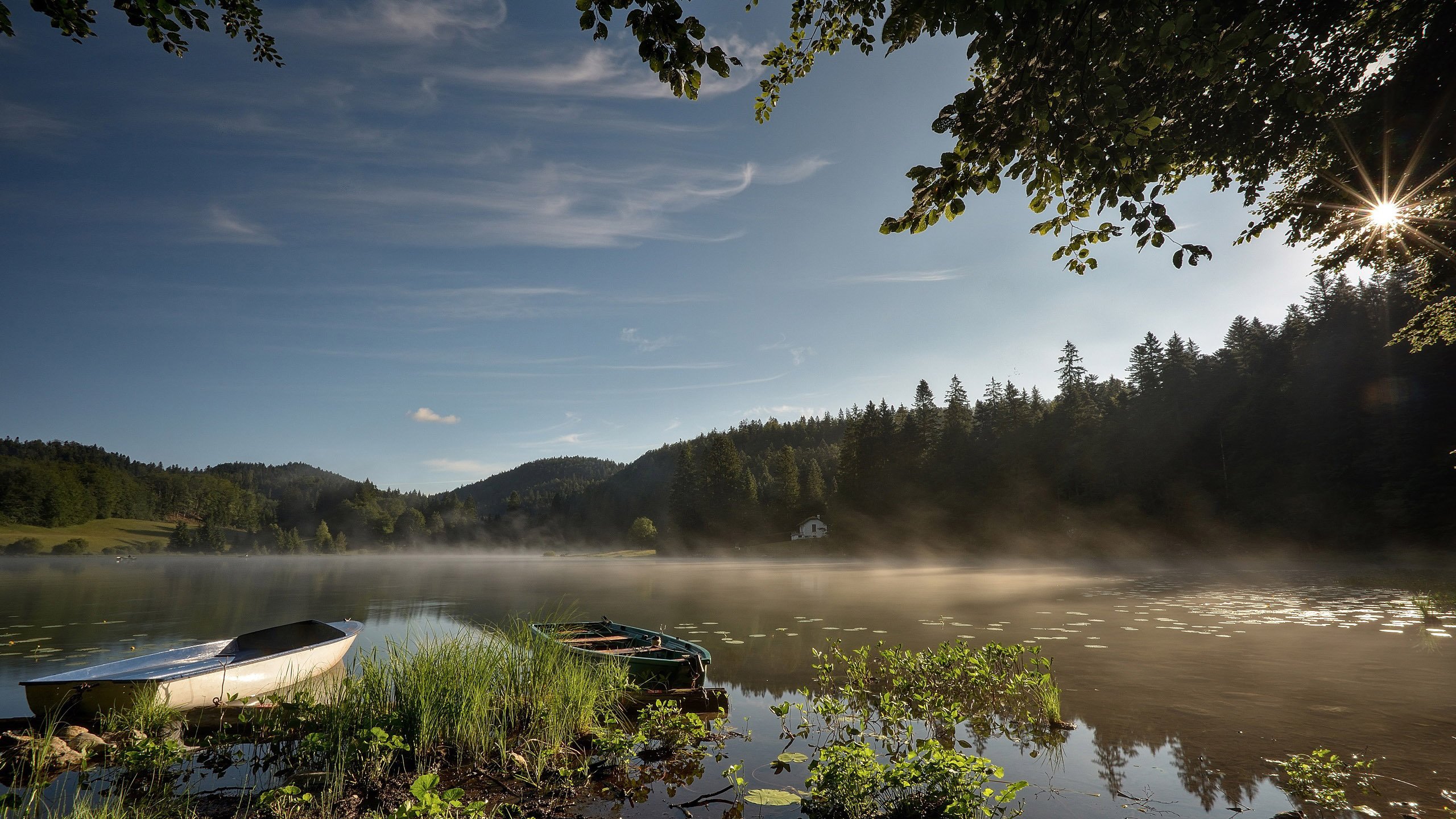 炎炎夏日 湖畔 小舟 雾