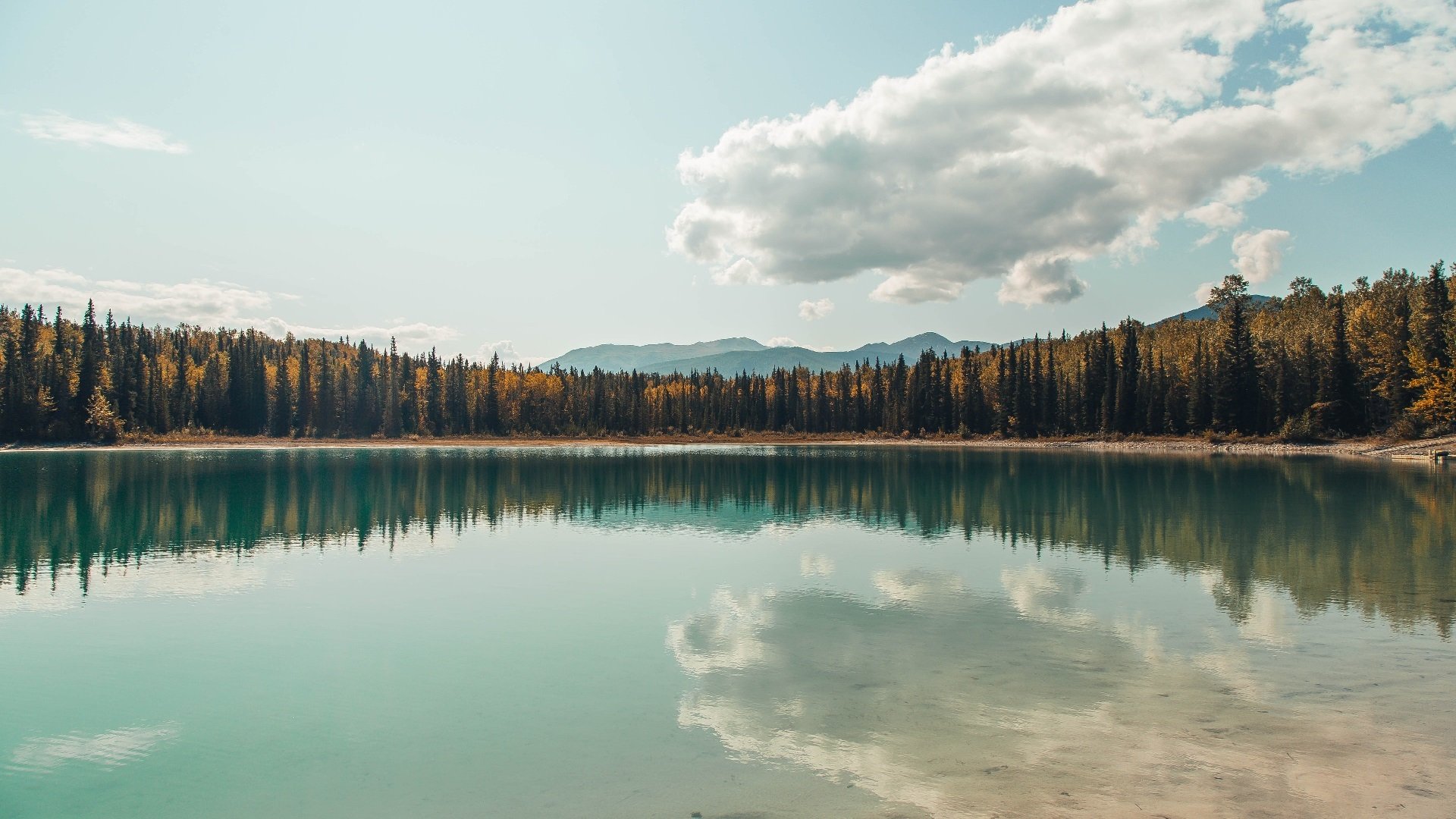 秋意正浓 湖 树林 倒影 云朵