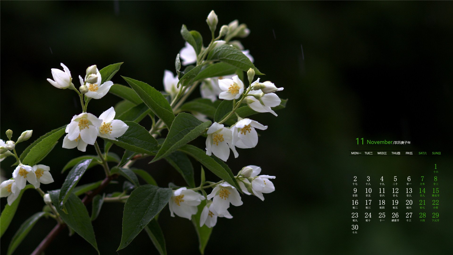 月历 日历 2020年11月