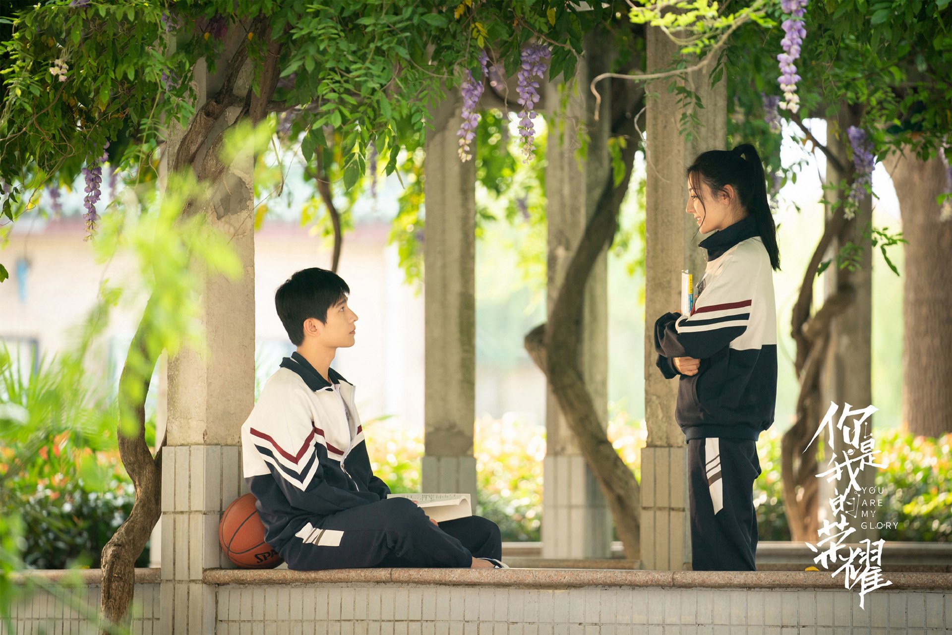 你是我的荣耀 迪丽热巴 杨洋