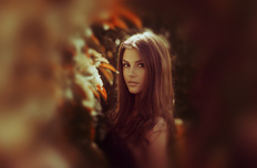 小清新 温馨一刻 儿童桌面专用