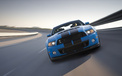 Ford Shelby GT500 福特 眼镜蛇 汽车 宽屏  2012Y十月30D 儿童桌面专用