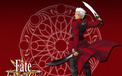 Fate unlimited codes 游戏 动漫 2012Y十一月08D