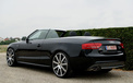 Audi 奥迪 汽车 跑车  2012Y十一月03D 儿童桌面专用