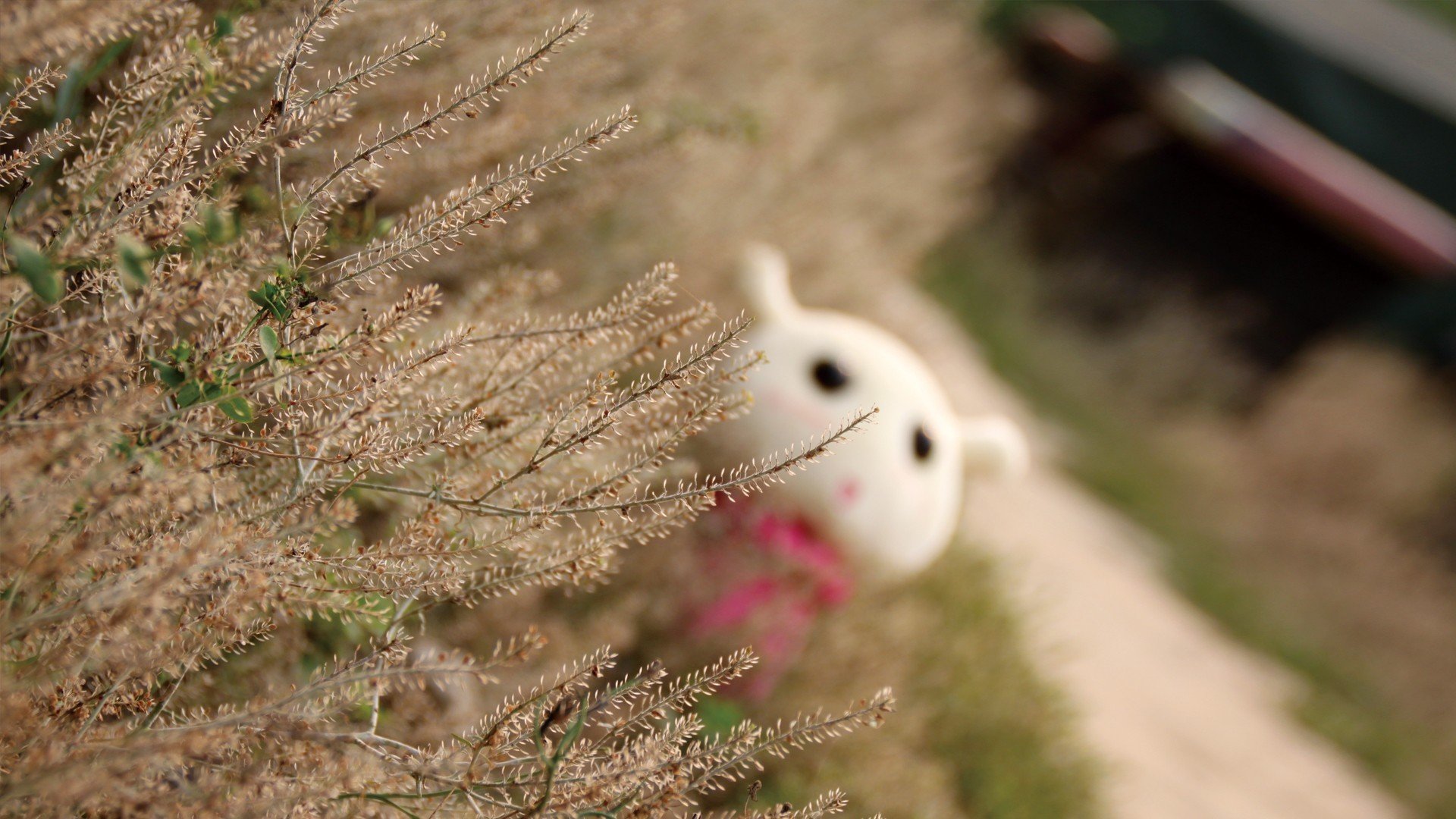 小清新 意境 LOMO 非主流 儿童桌面专用