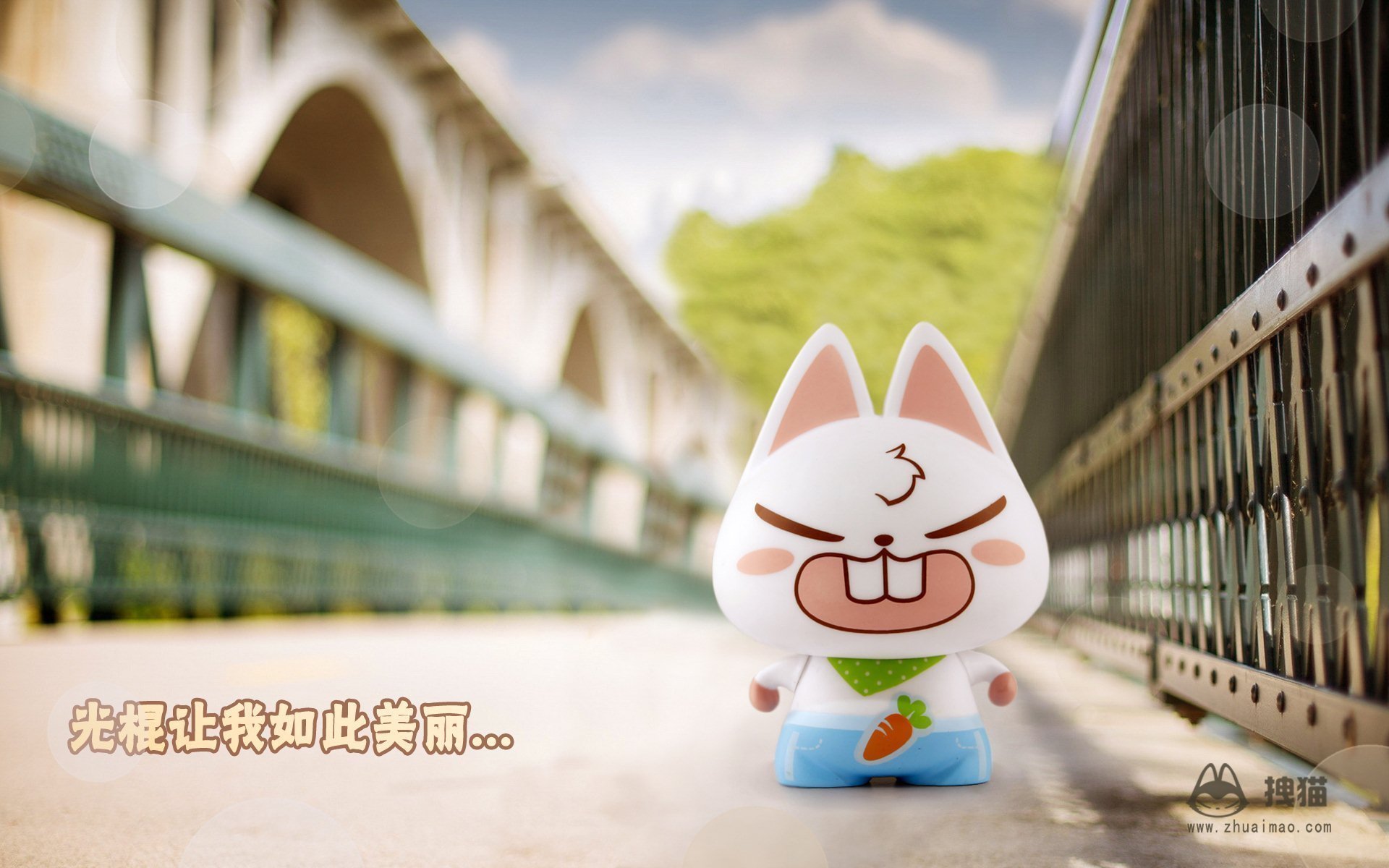 动漫 拽猫 光棍节 1111 拽猫光棍节 儿童桌面专用