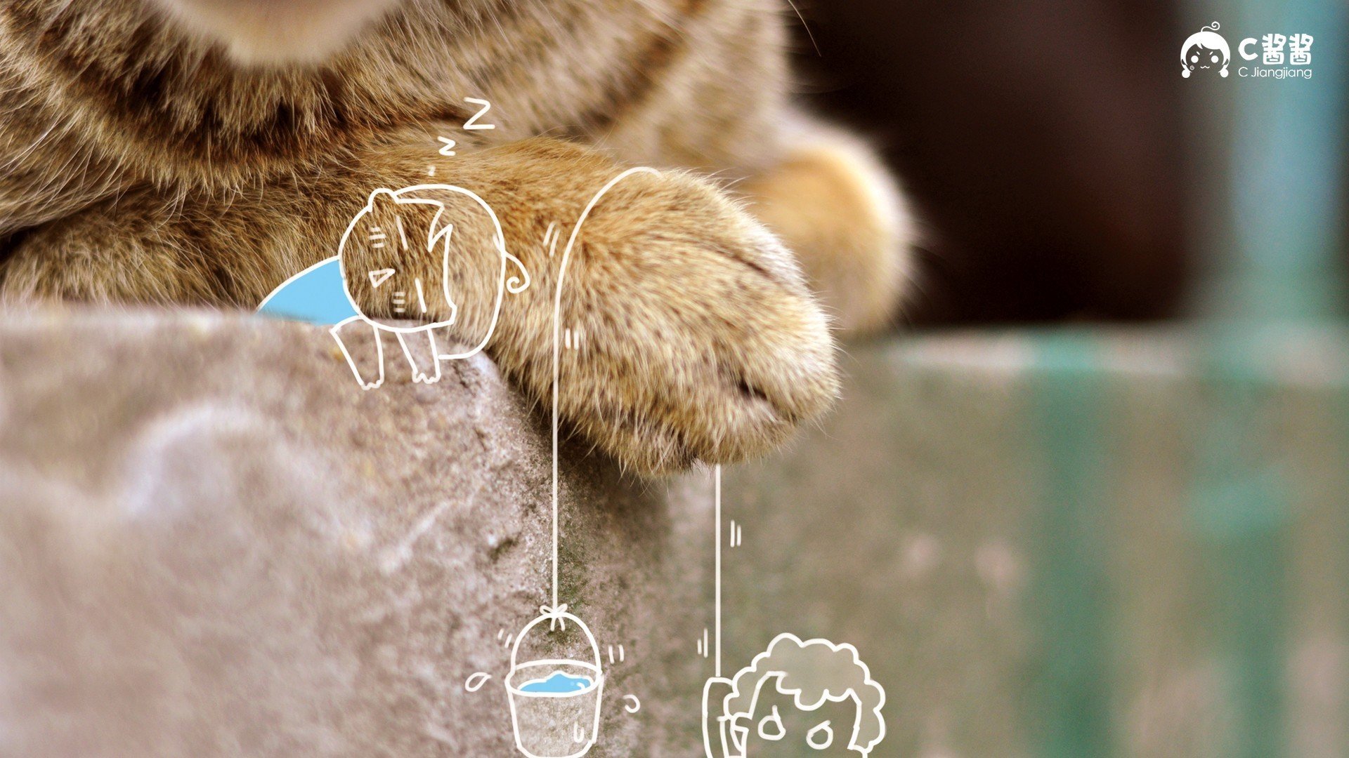 萌宠 动物 喵星人 猫咪 猫 手绘 恶搞 可爱 萌物 儿童桌面专用