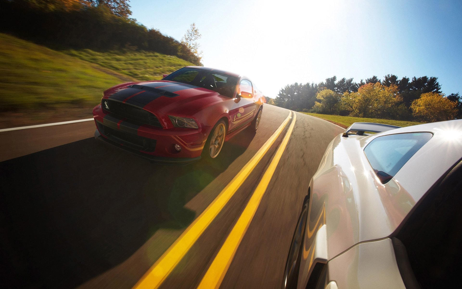 汽车 豪车 跑车 超跑 福特 野马 儿童桌面专用