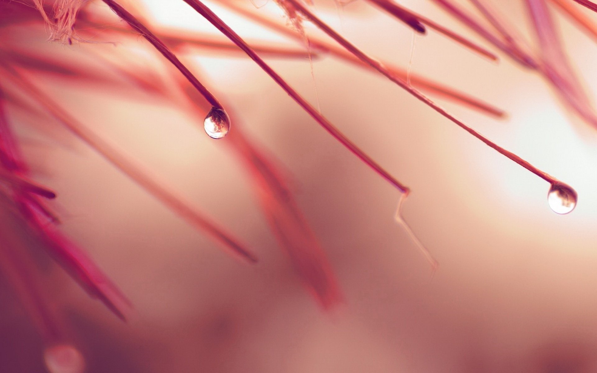 小清新 意境 唯美 非主流 风景 儿童桌面专用