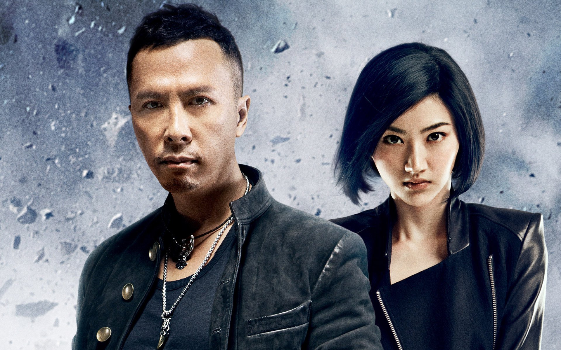 影视 特殊身份 电影 甄子丹