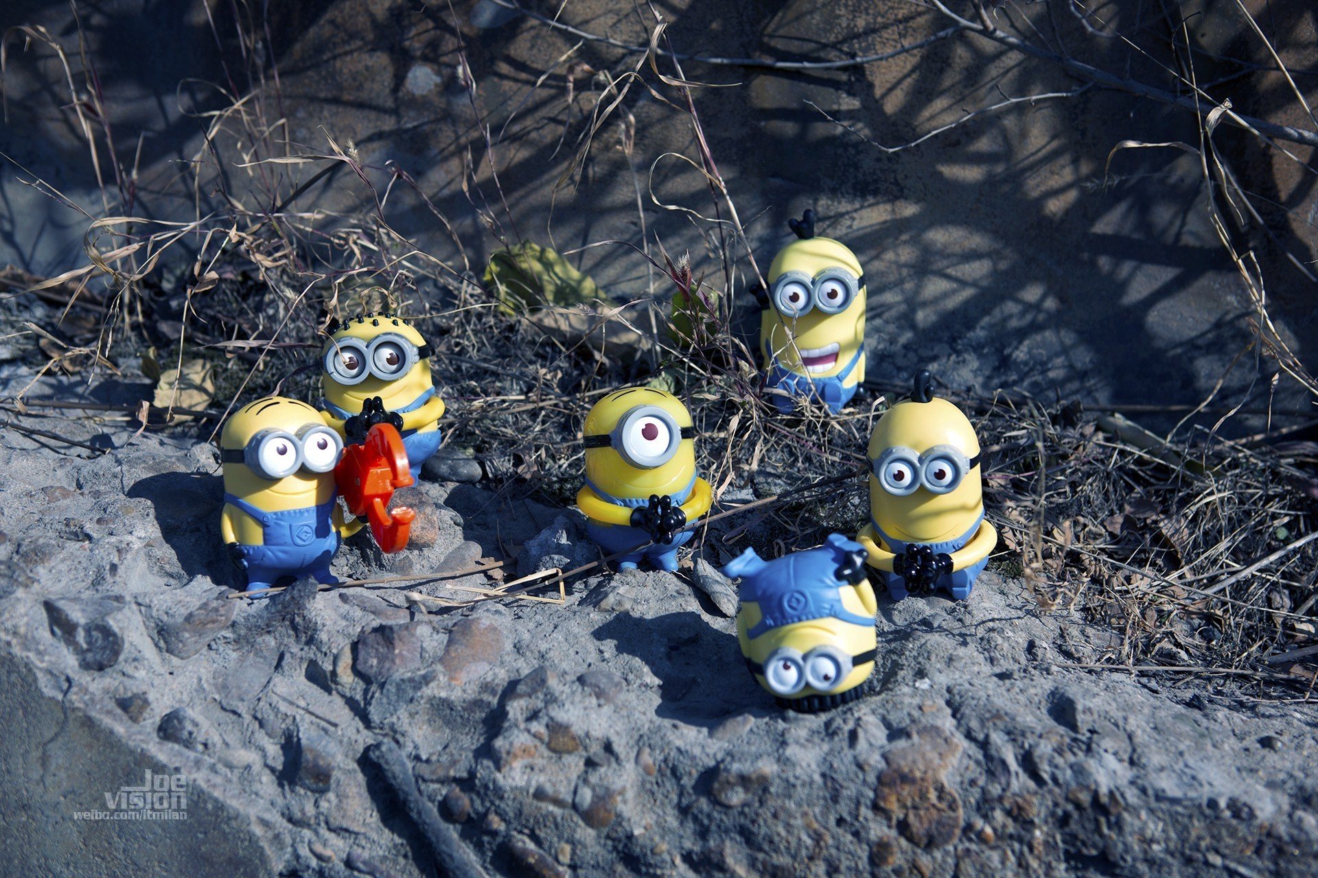 电影 卑鄙的我 神偷奶爸 小黄人 摄影 小黄人专辑