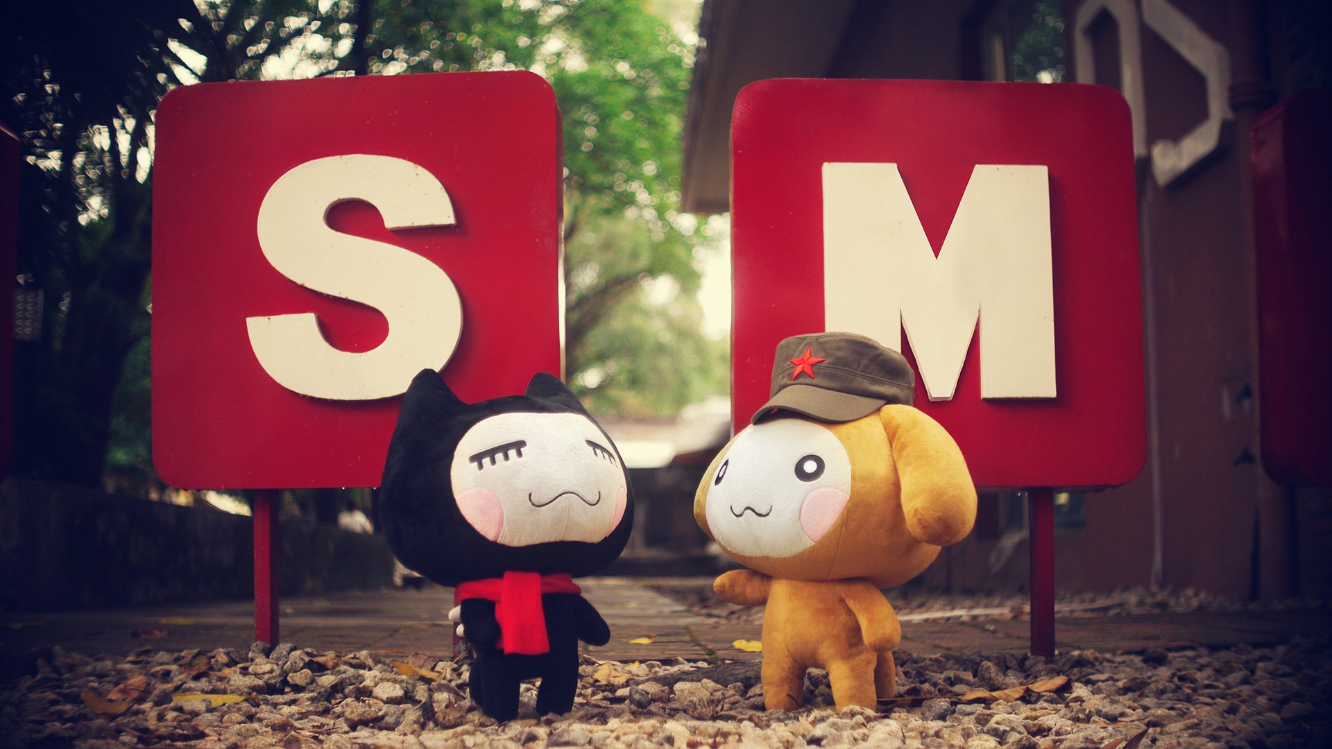 小左小右 小清新 摄影