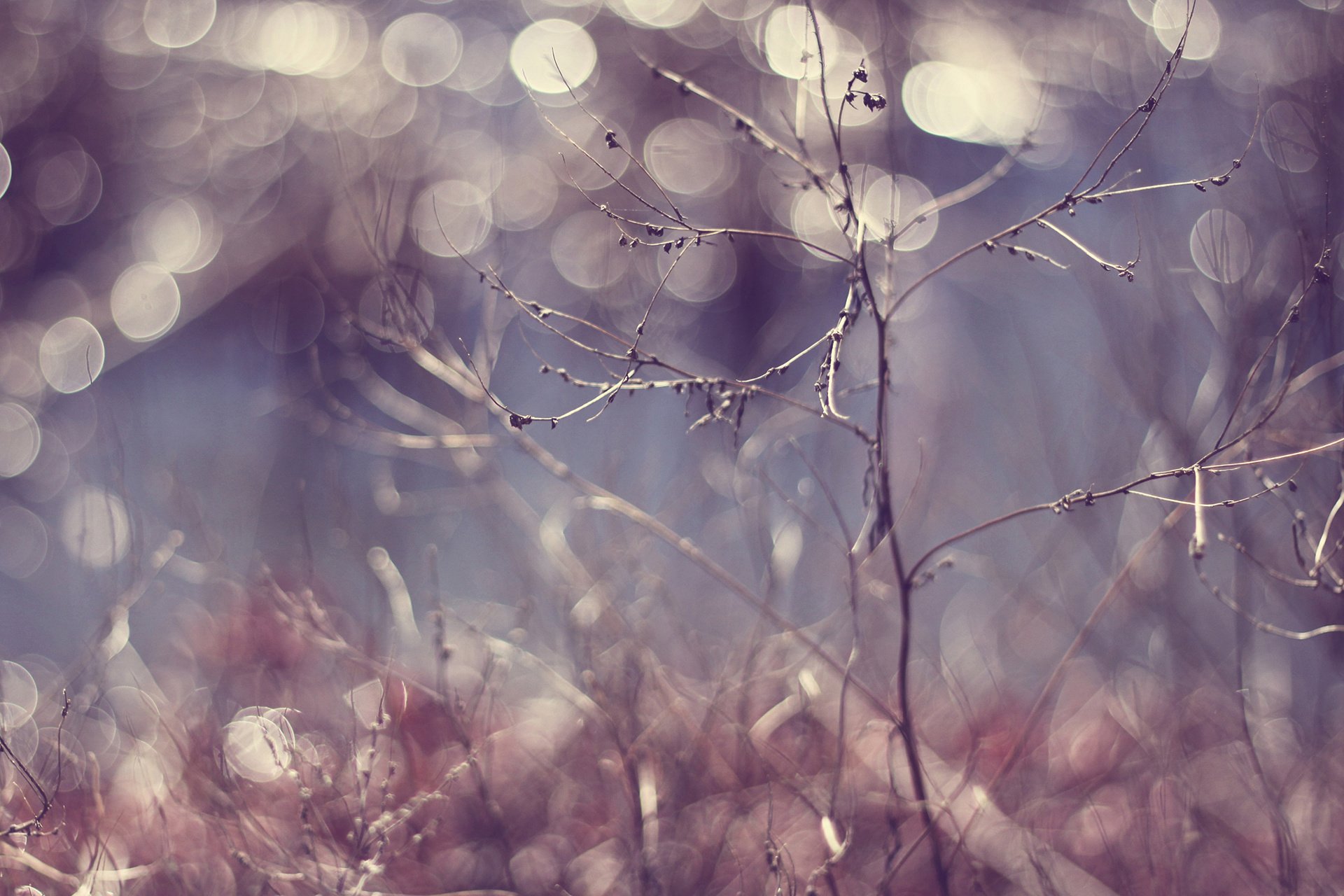 小清新 LOMO 摄影 静物 非主流 文艺