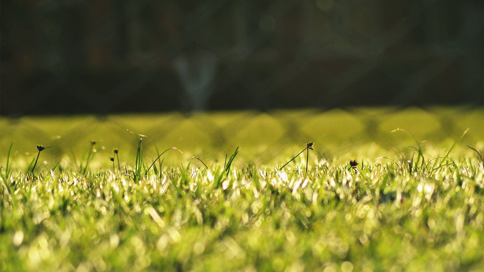 小清新 LOMO 意境 非主流 日系 儿童桌面专用