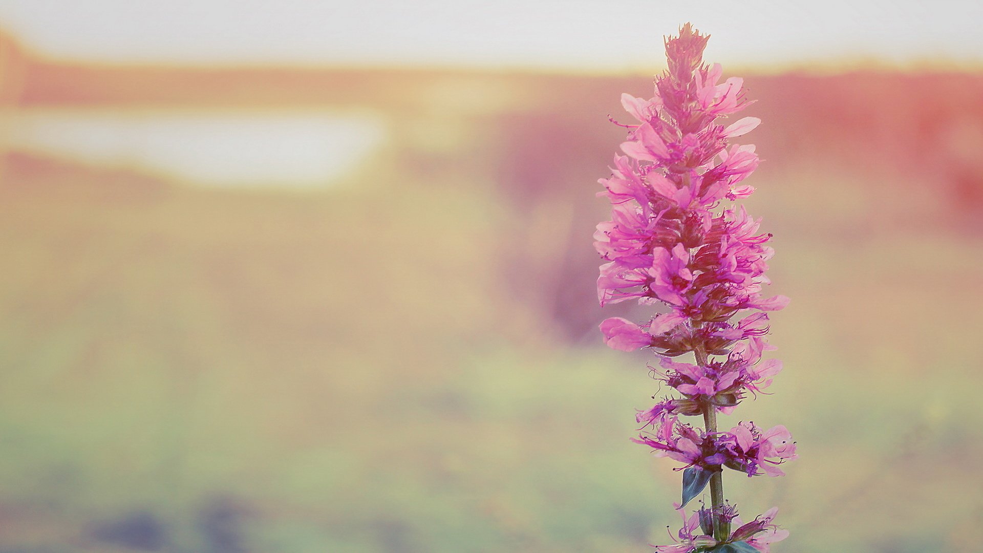 小清新 LOMO 意境 非主流 日系 儿童桌面专用