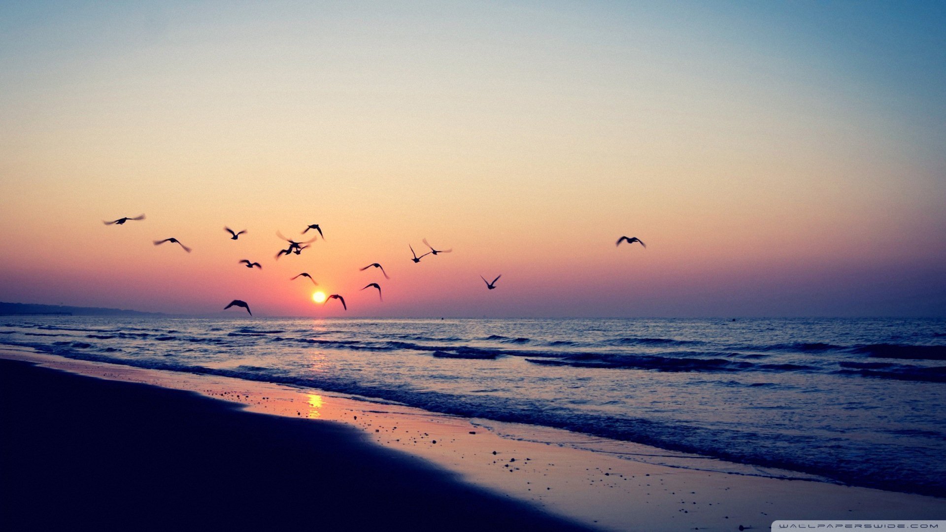 小清新 唯美 温暖 安静 阳光 温馨 儿童桌面专用