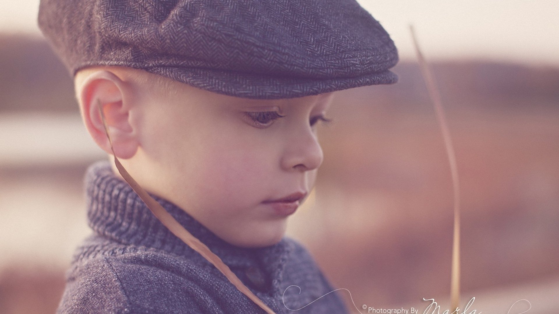 小清新 唯美 温暖 安静 阳光 温馨 儿童桌面专用