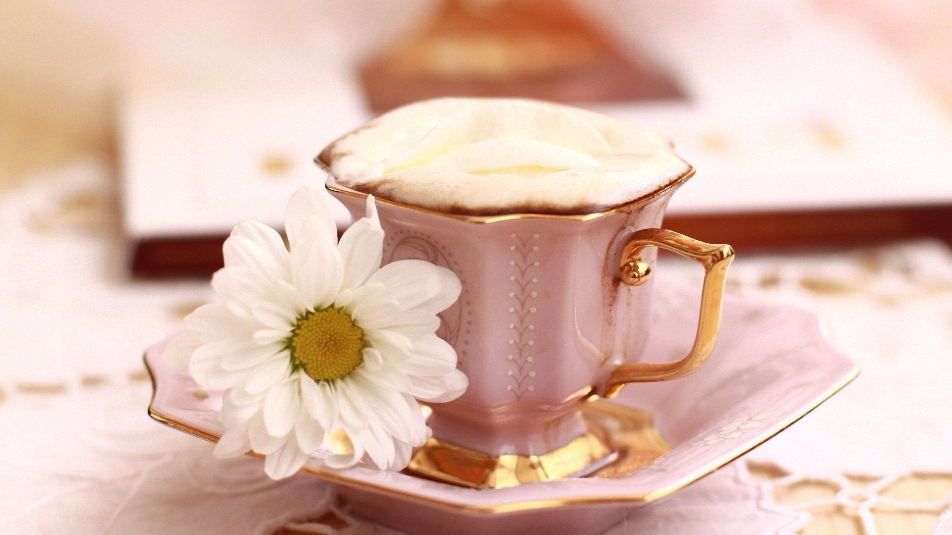 小清新 唯美 温暖 安静 阳光 温馨