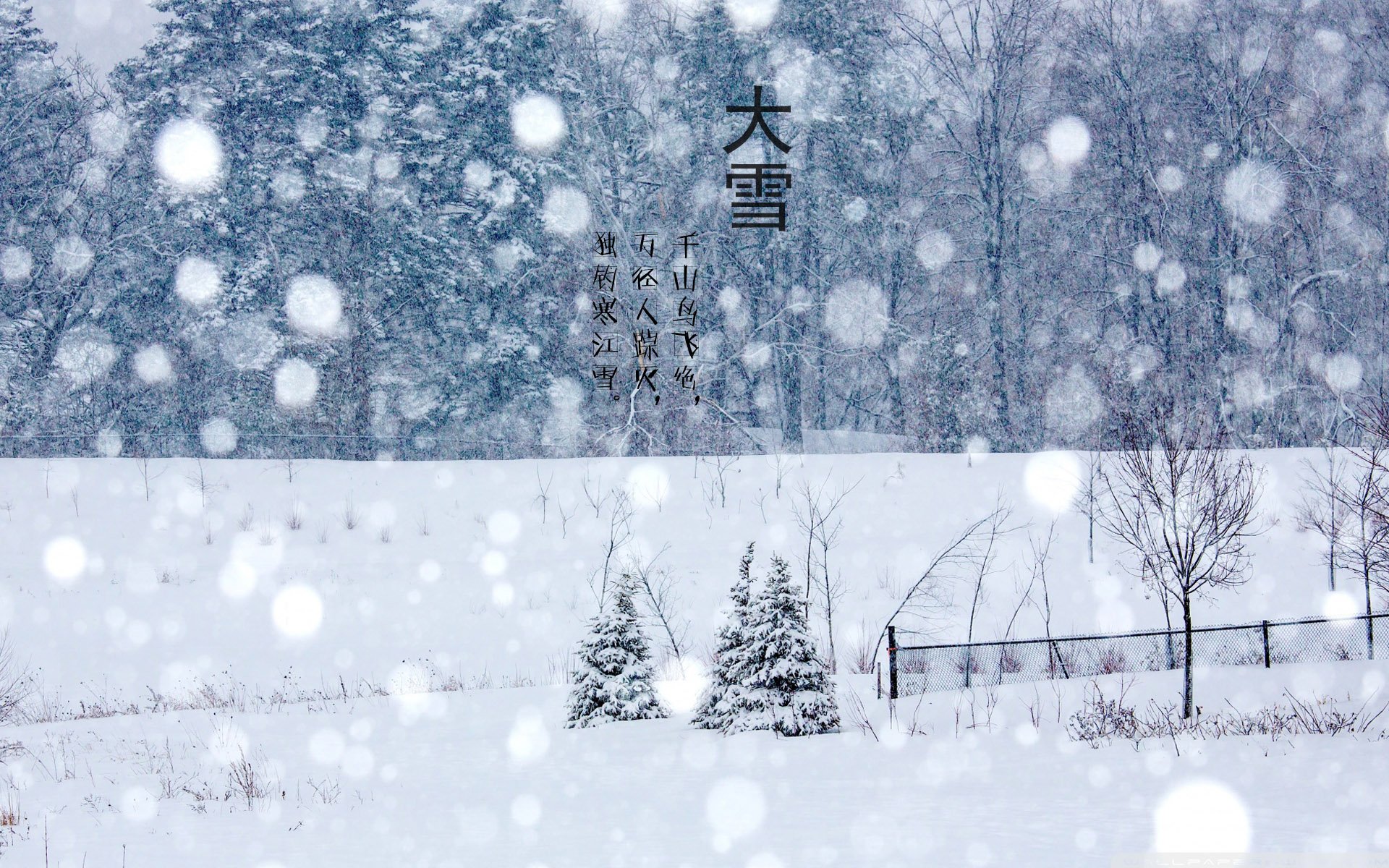 二十四节气 24节气 节气 风景 自然 风光 节日 大雪