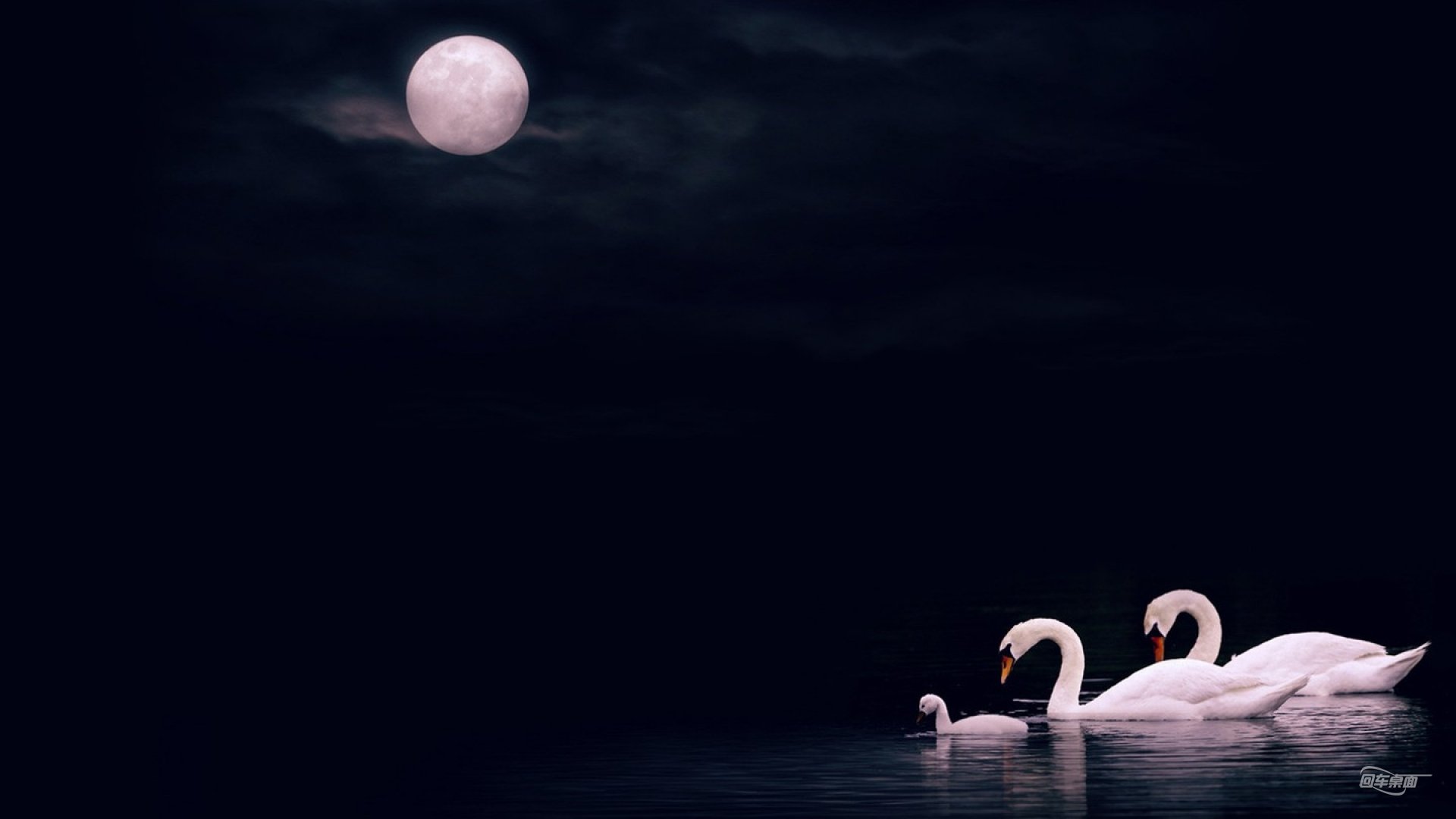 小清新 唯美 温馨 温暖 阳光 治愈系 安静 生活 慢生活 清新淡雅 温馨一刻 天鹅 夜晚 月亮 意境