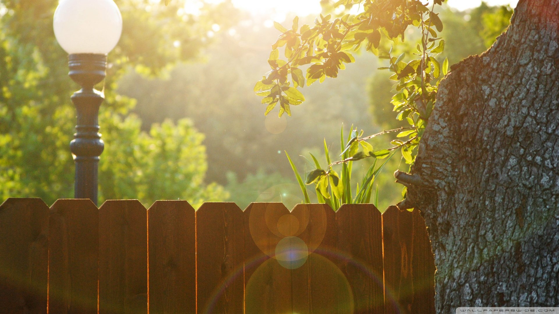 小清新 唯美 温馨 温暖 阳光 治愈系 安静 生活 慢生活 清新淡雅 温馨一刻 田园 花园