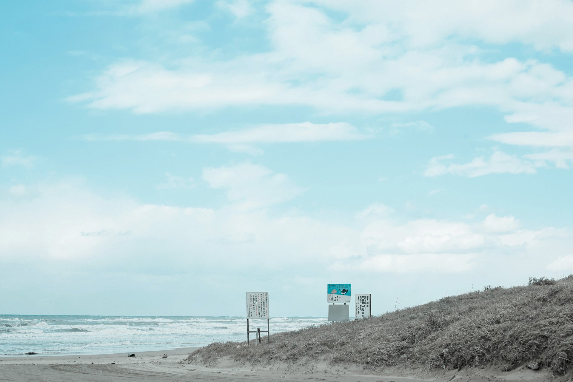 小清新 唯美 温馨 温暖 阳光 治愈系 安静 生活 慢生活 清新淡雅 温馨一刻 海边 LOMO