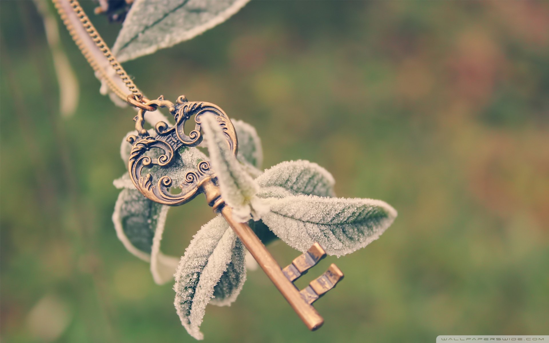 小清新 唯美 温馨 温暖 阳光 治愈系 安静 生活 慢生活 清新淡雅 温馨一刻 静物写真 物语  要是