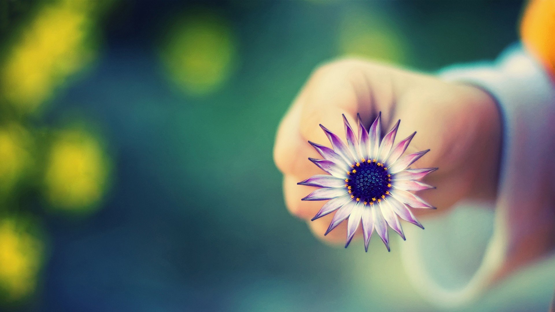 小清新 唯美 温馨 温暖 阳光 治愈系 安静 生活 慢生活 清新淡雅 温馨一刻 花  手 女孩 女生 等待