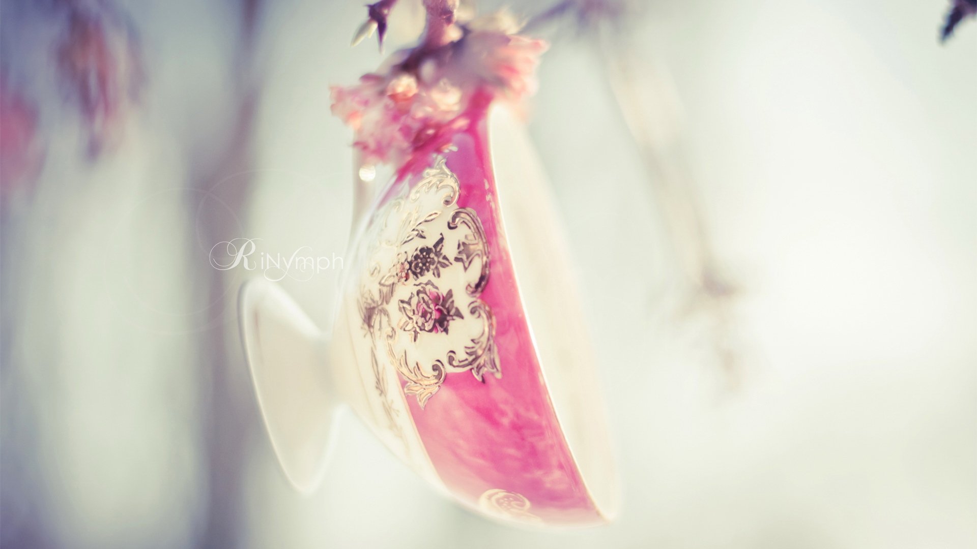 小清新 唯美 温馨 温暖 阳光 治愈系 安静 生活 慢生活 清新淡雅 温馨一刻