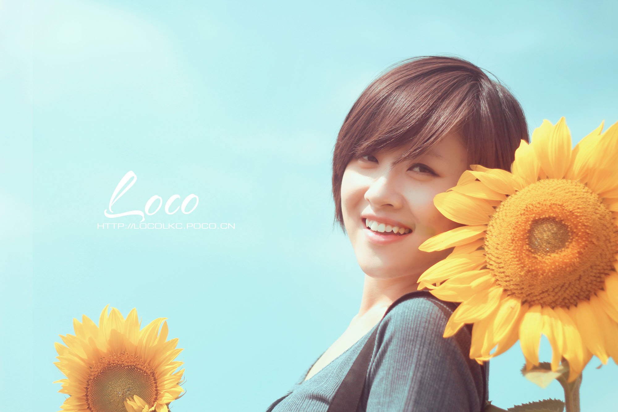 小清新 唯美 温馨 温暖 阳光 绿色养眼 自然  清新淡雅 花 春天  花团锦簇 向日葵