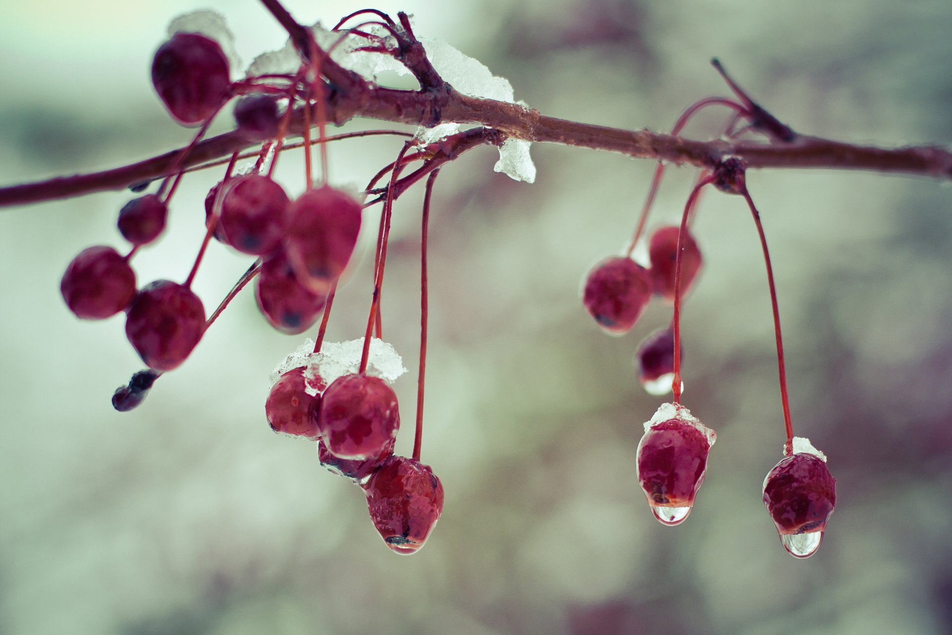 小清新 唯美 温馨 温暖 阳光 绿色养眼 自然  清新淡雅 花 春天  花团锦簇