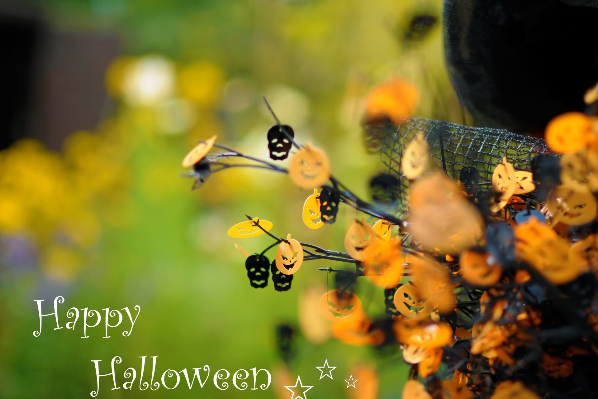 小清新 唯美 温馨 温暖 阳光 绿色养眼 自然  清新淡雅 花 春天  花团锦簇