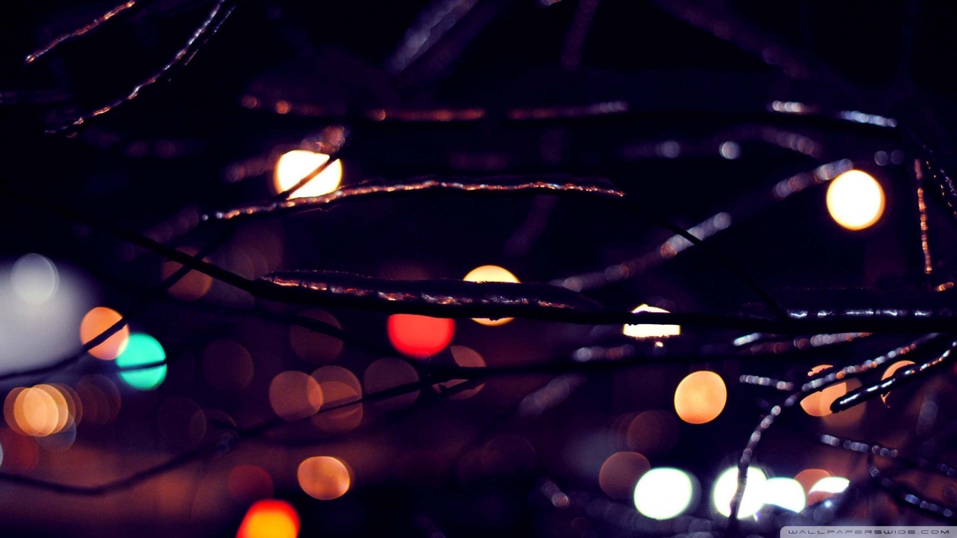 炫酷 特效 视觉艺术 设计 炫彩 彩色 光