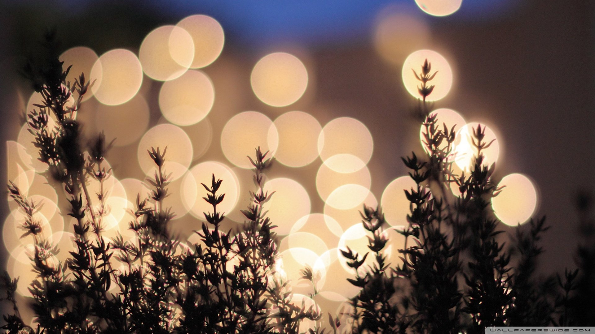 炫酷 特效 视觉艺术 设计 炫彩 彩色 光