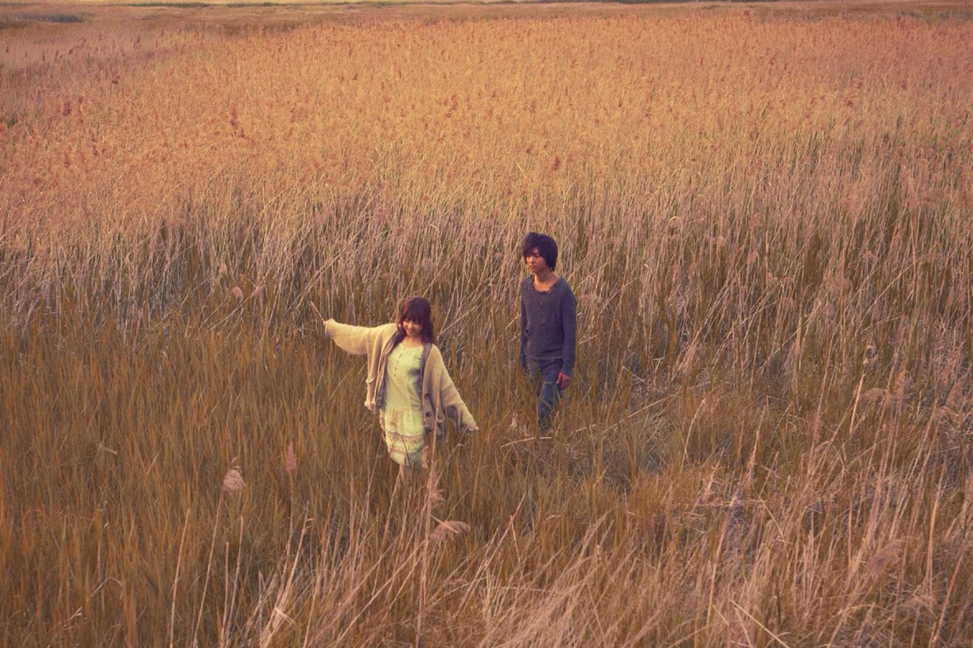 浪漫 爱情 情感 爱 love 清新 唯美 情侣 唯美温馨 暗恋