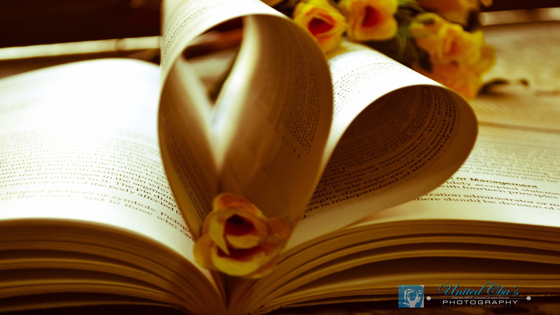 浪漫 爱情 情感 爱 love 唯美 清新 心 love 静物 物语 心动创意 书