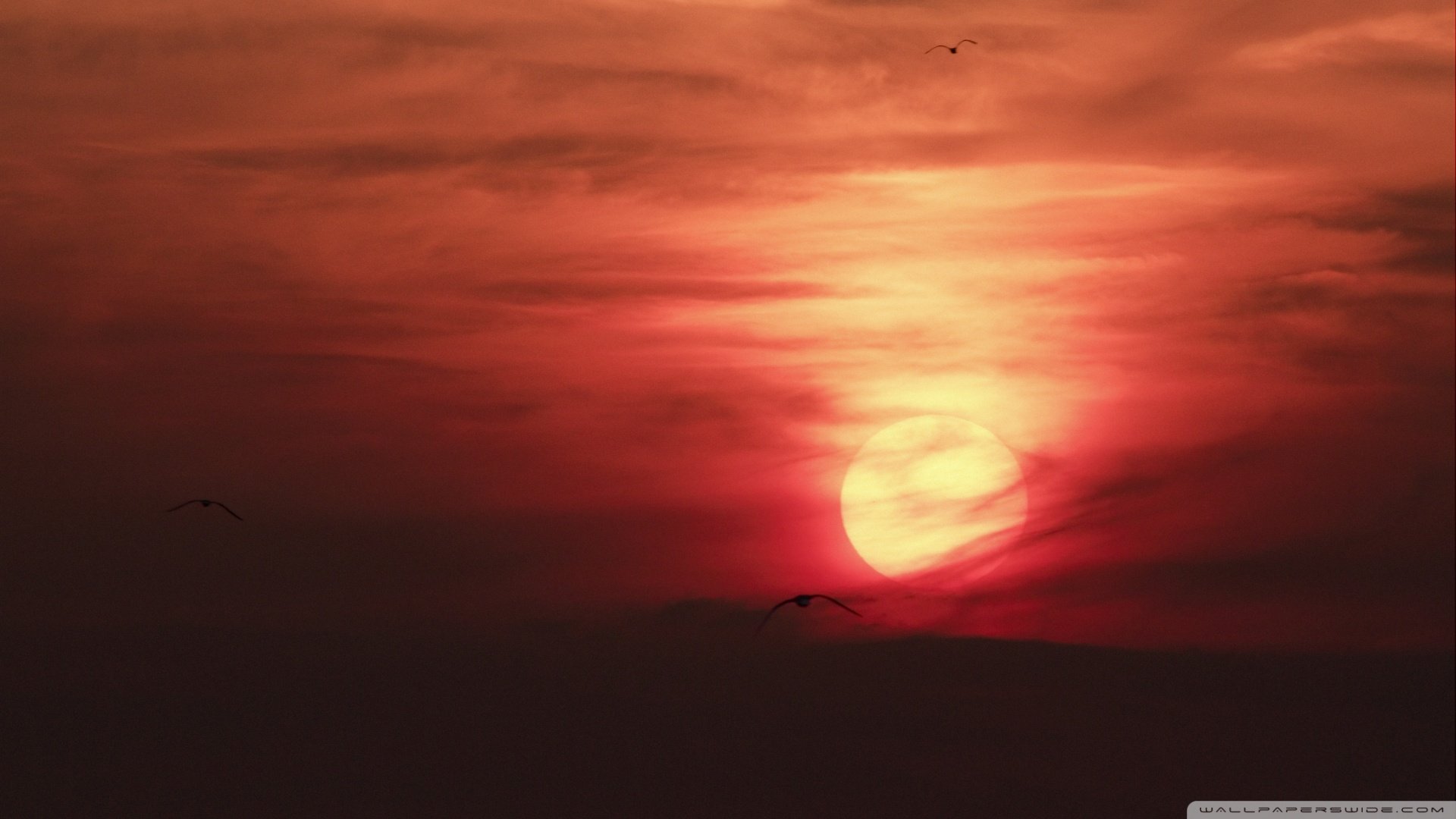 自然 风光 风景 落日余晖 夕阳 黄昏 傍晚 唯美