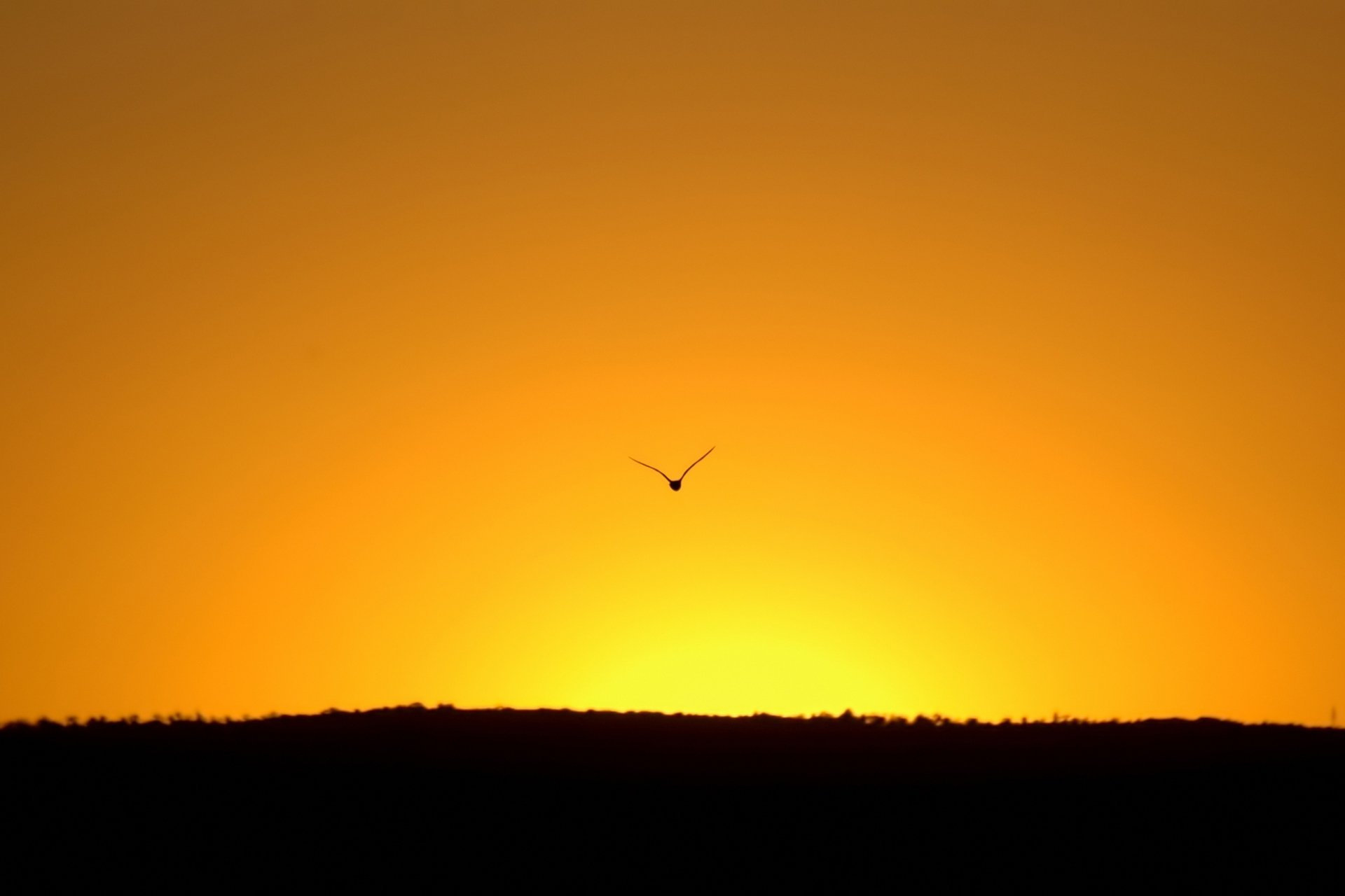 自然 风光 风景 落日余晖 夕阳 黄昏 傍晚 唯美