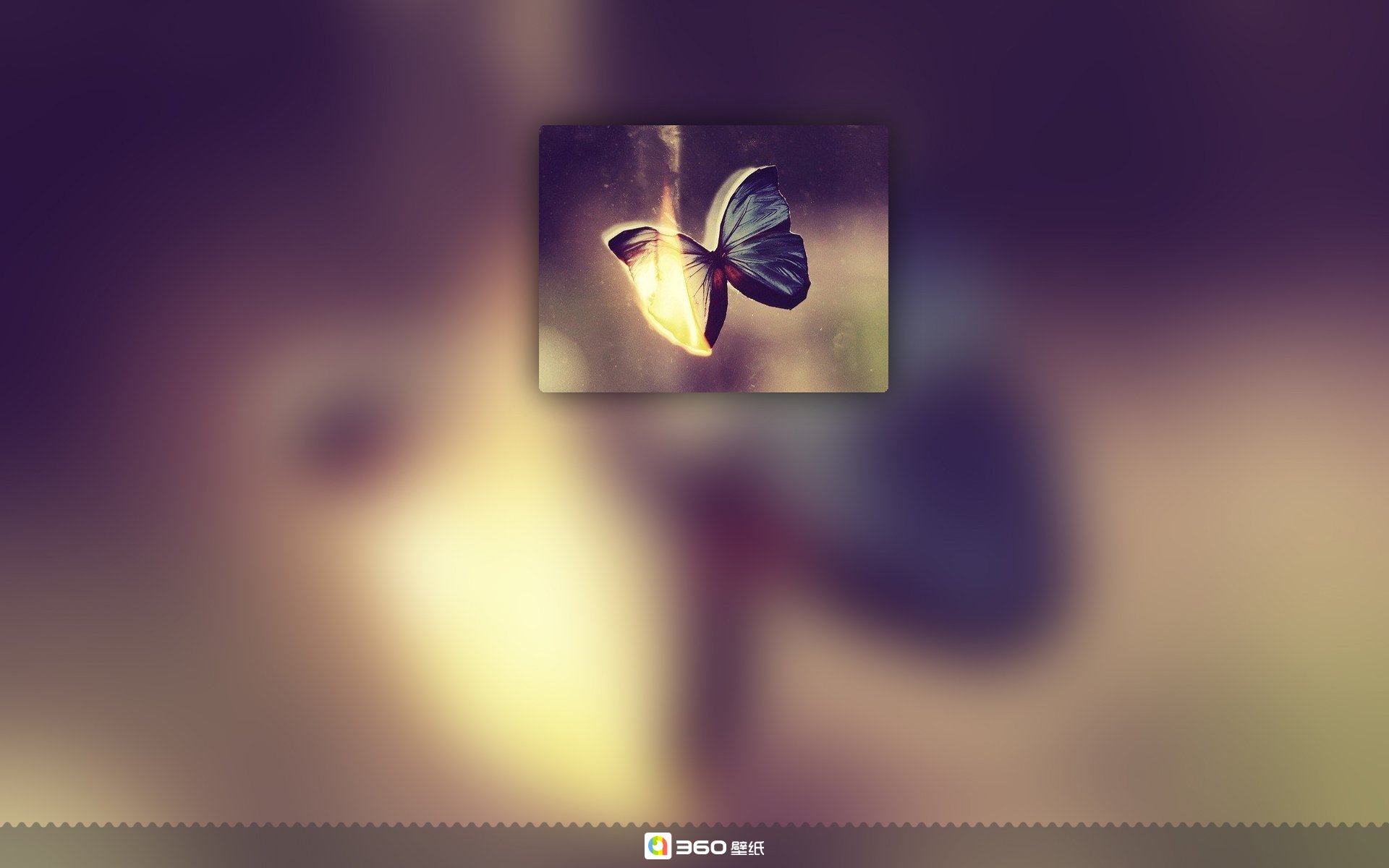 清新 唯美 孤单 伤感 寂寞 意境 去年那日，今年今时 模糊 朦胧