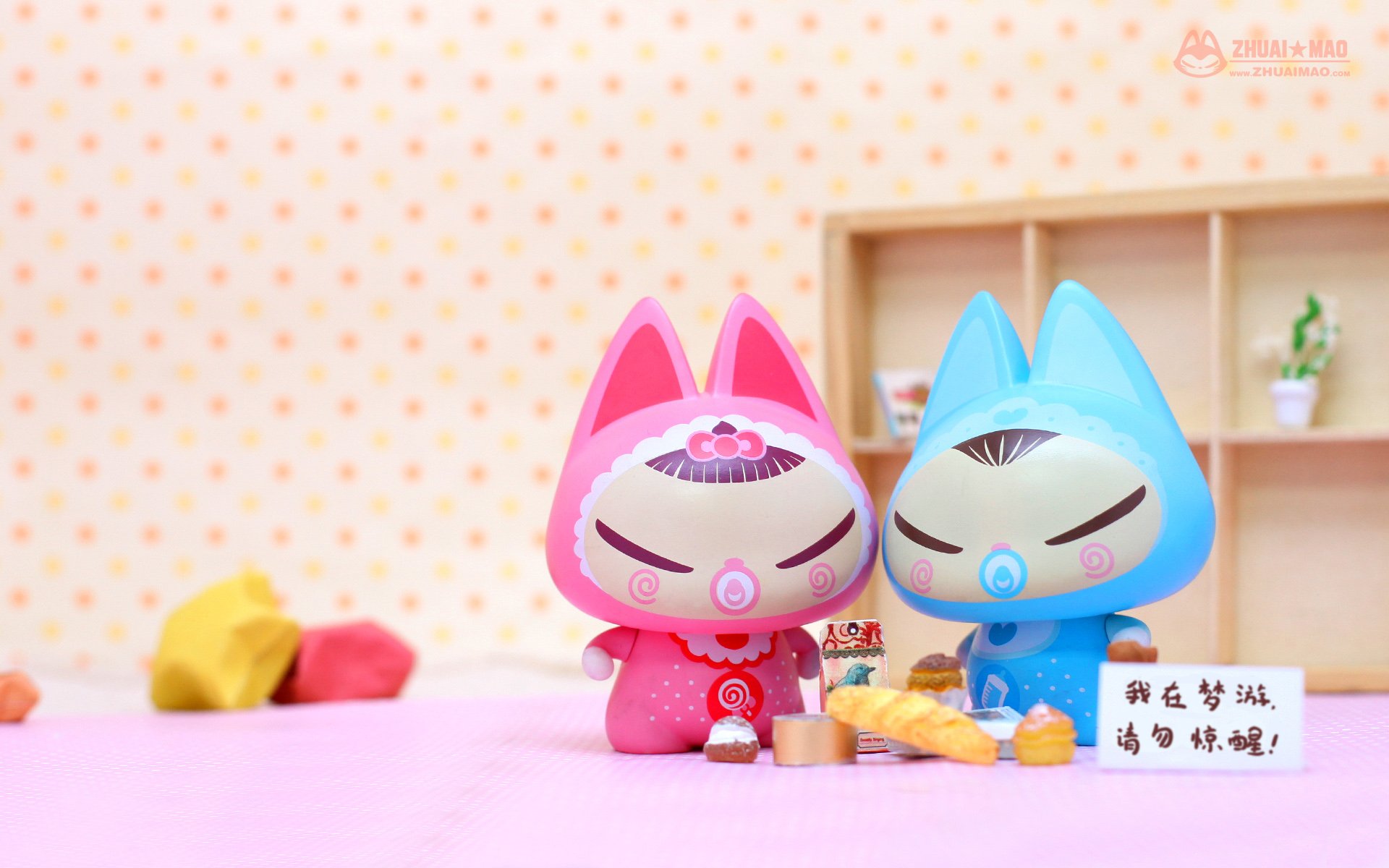 拽猫 可爱 动漫 摄影 静物微距 文字 愚人节 恶搞 搞笑