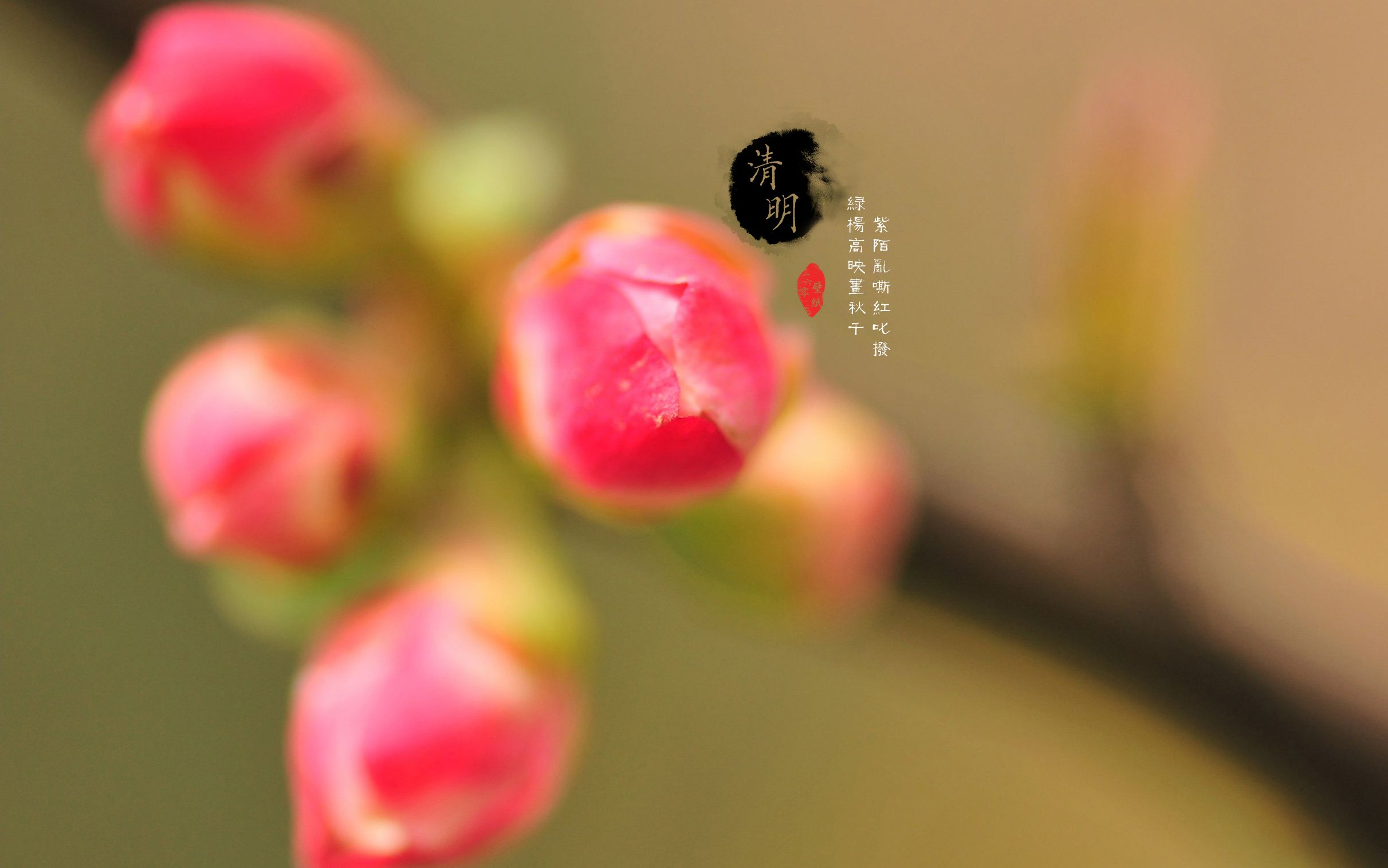 清明节 古风 古诗 诗句 意境 节气 24节气 二十四节气 @姑凉_你又瘦了