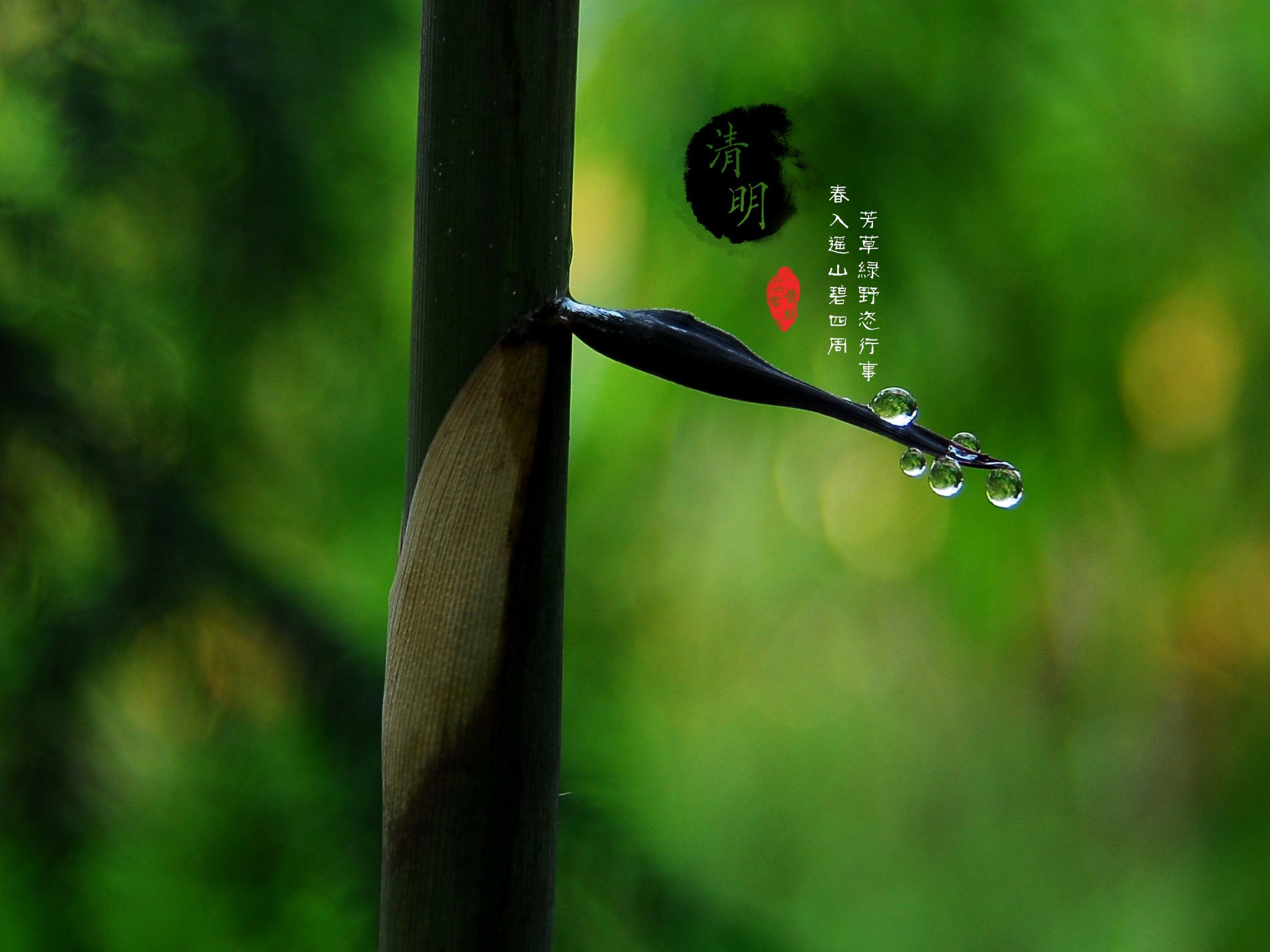 清明节 古风 古诗 诗句 意境 节气 24节气 二十四节气 @姑凉_你又瘦了