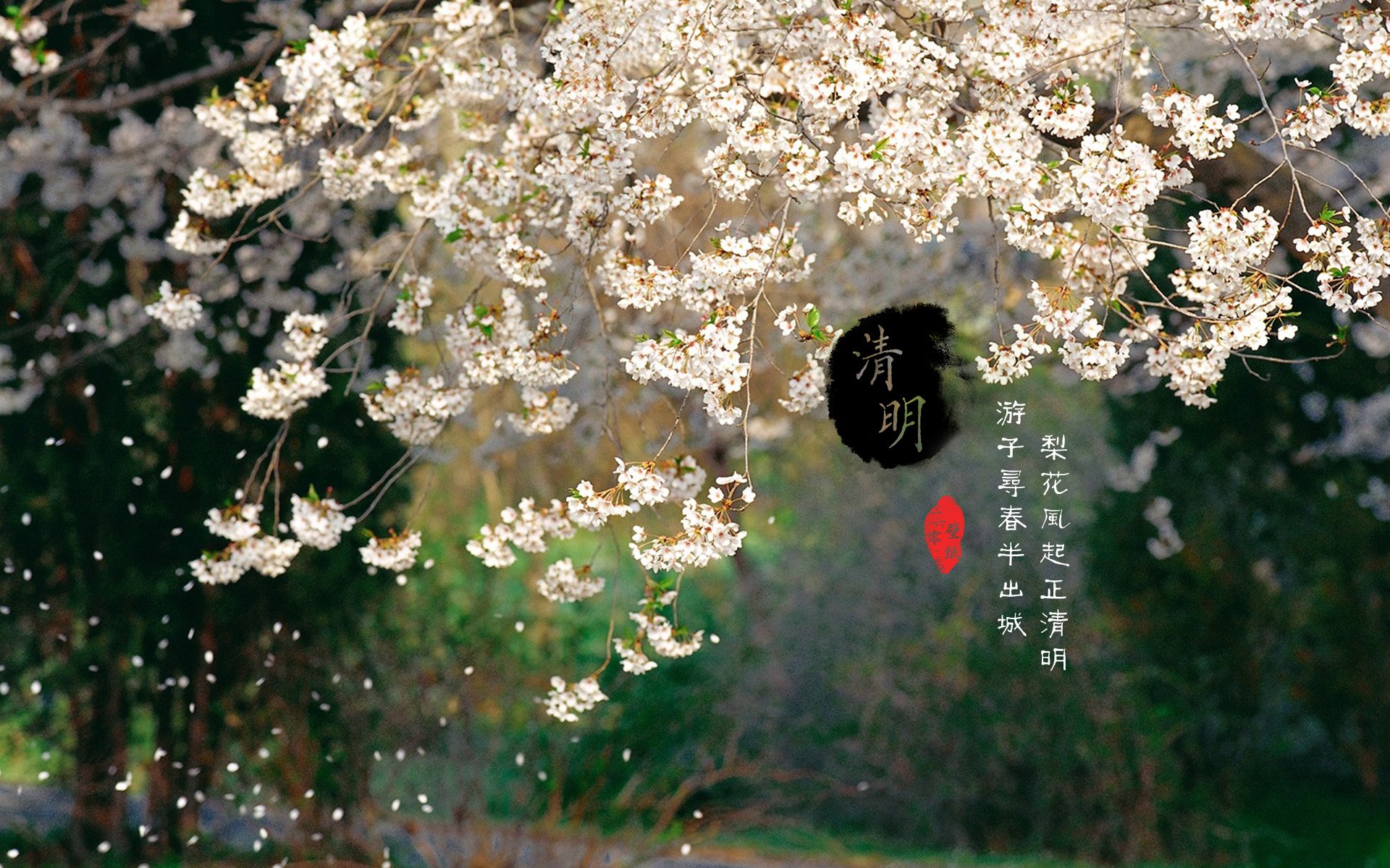 清明节 古风 古诗 诗句 意境 节气 24节气 二十四节气 @姑凉_你又瘦了