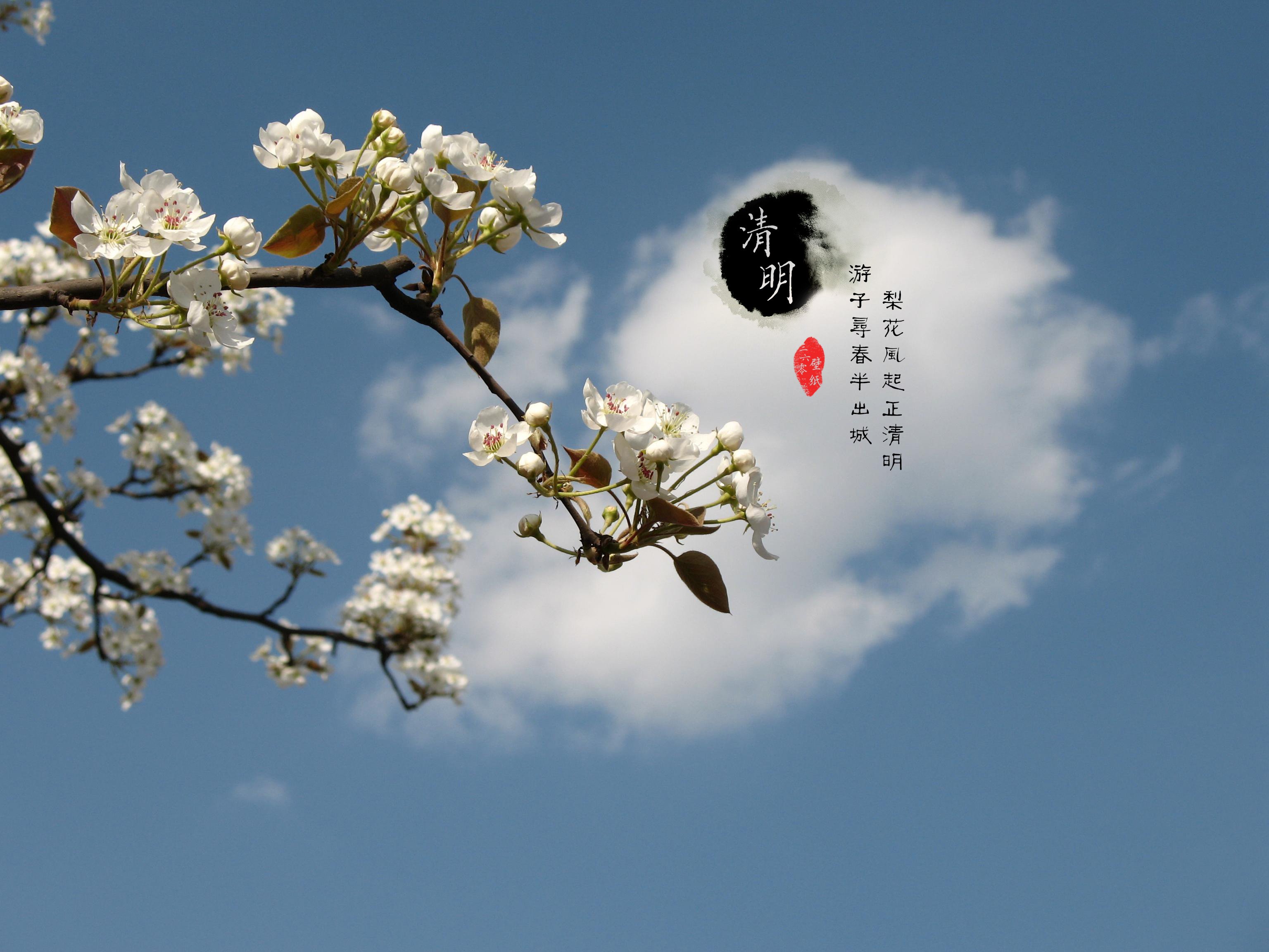 清明节 古风 古诗 诗句 意境 节气 24节气 二十四节气 @姑凉_你又瘦了