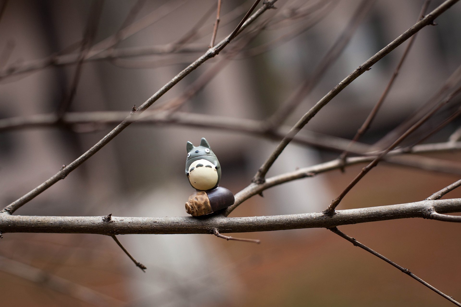 小清新 唯美 温暖 温馨一刻 静物写真 龙猫
