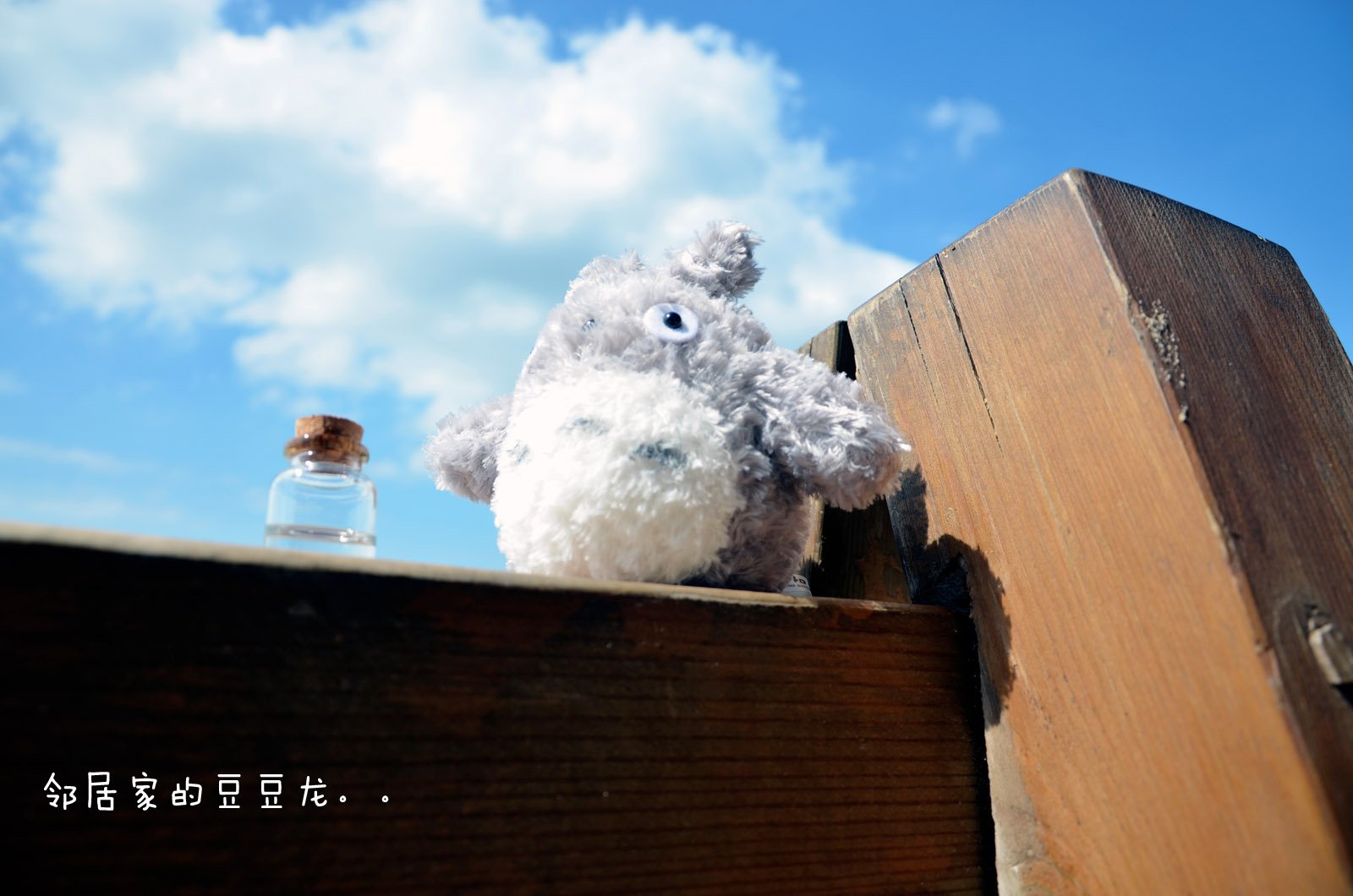 小清新 唯美 温暖 温馨一刻 静物写真 龙猫