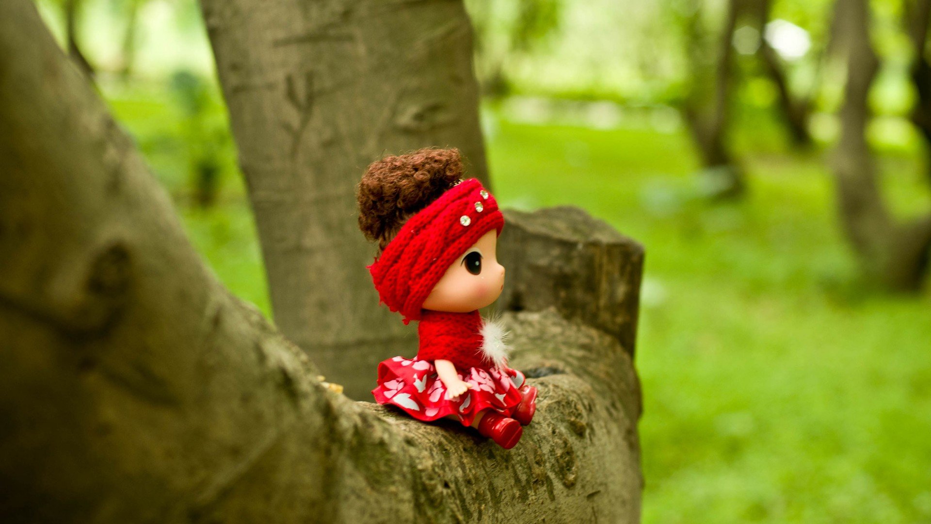 小清新 唯美 温暖 温馨一刻 静物写真