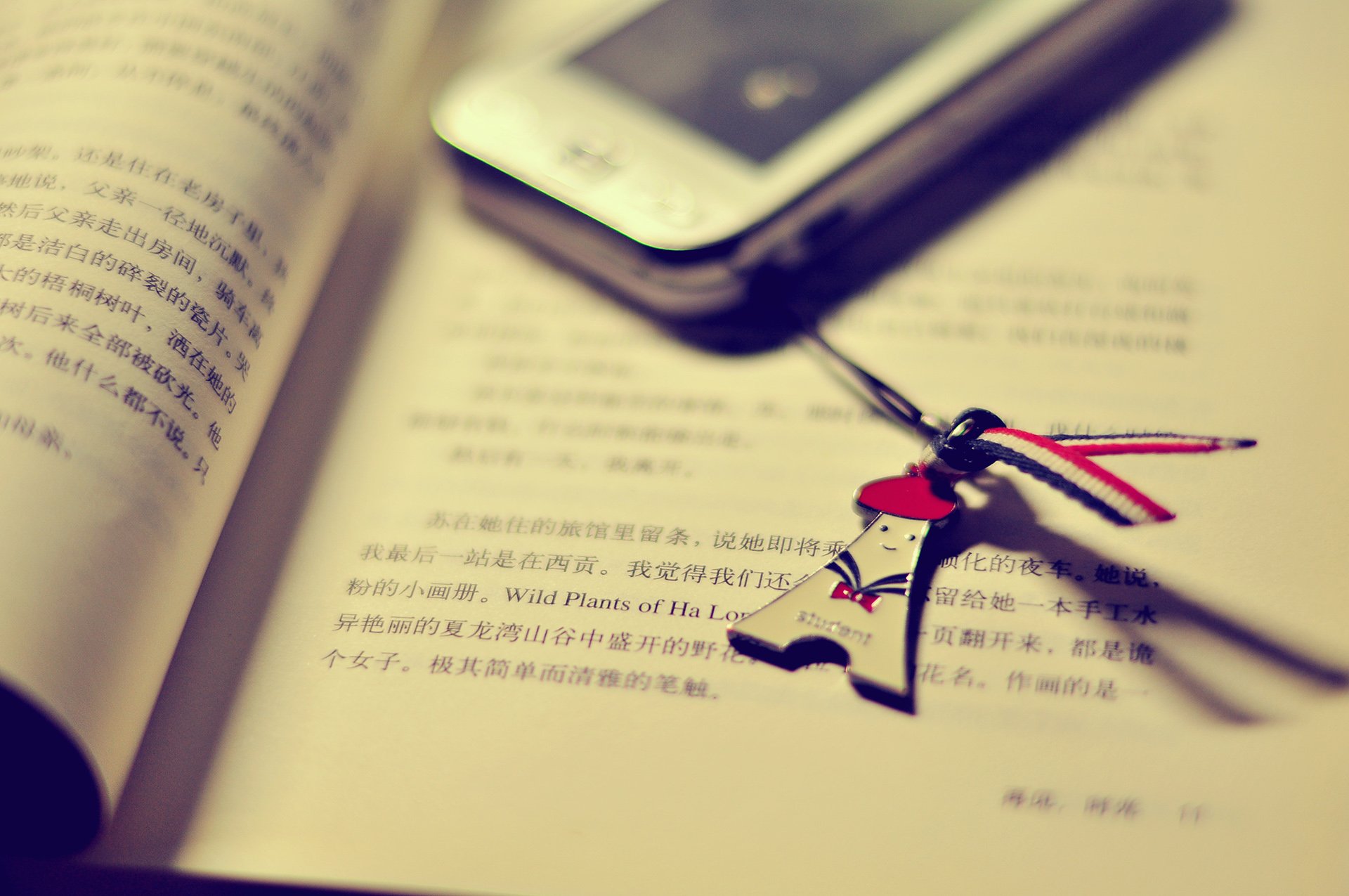 小清新 唯美 温暖 温馨一刻 静物写真