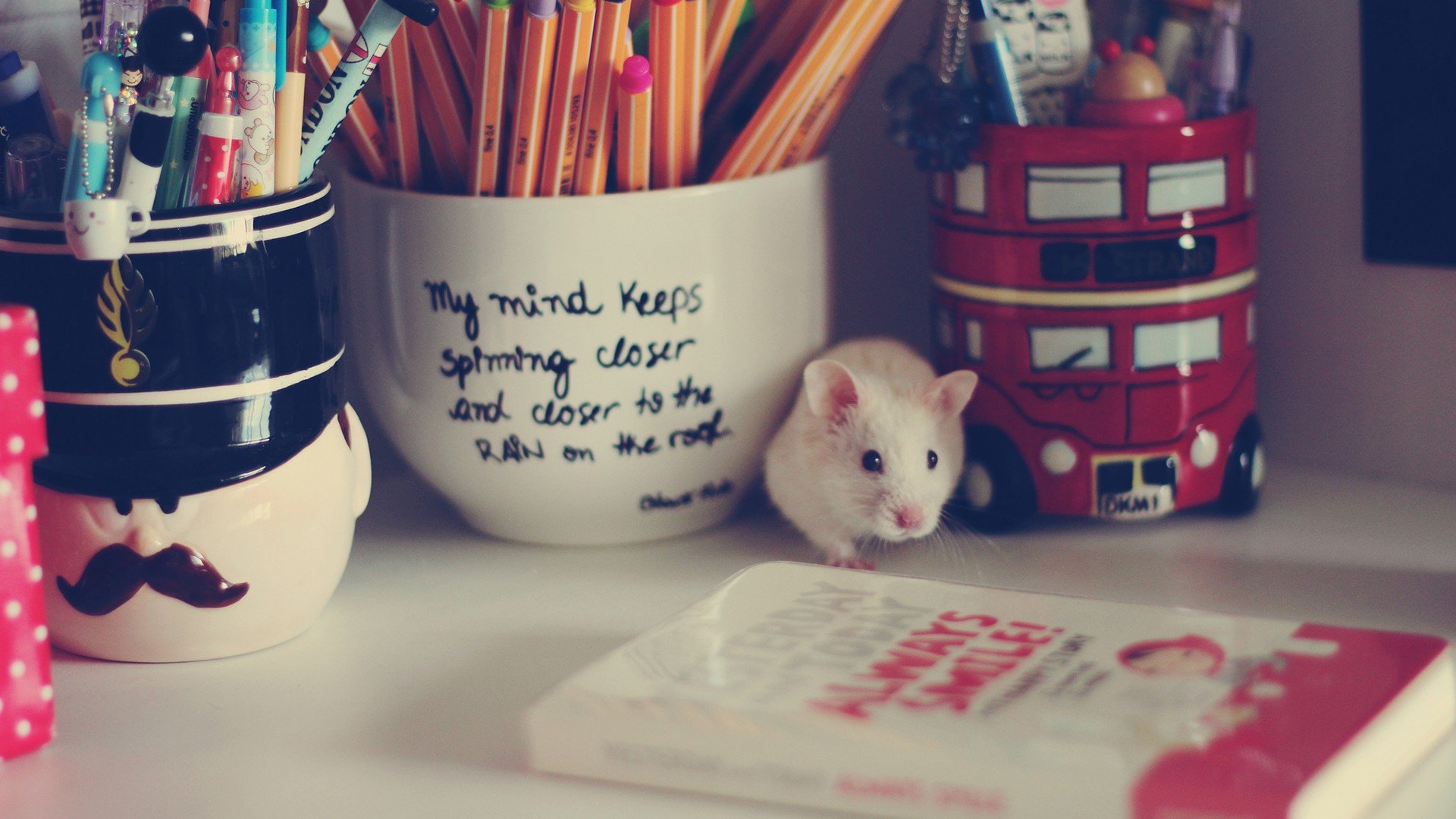 小清新 唯美 温暖 温馨一刻 静物写真